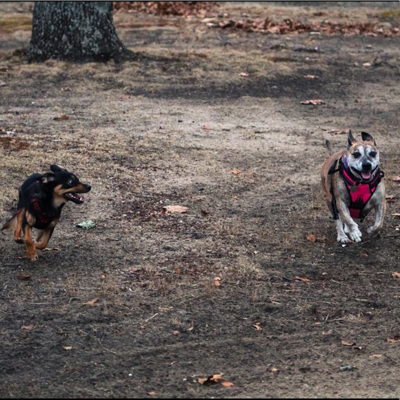 Meet your Posher, Shannon - Picture 7 of 7